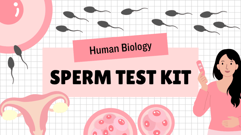 Sperm Test Kit